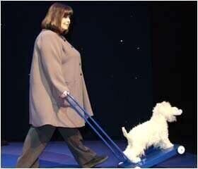 MY BRILLIANT DIVORCE av Geraldine Aron